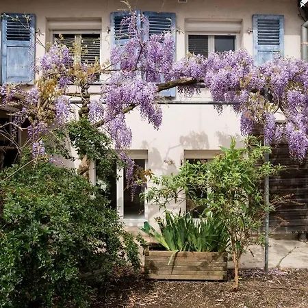 Le Gite De Jade Dannemarie  Exterior foto
