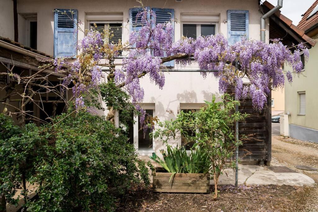 Apartment Le De Jade Dannemarie (Haut-Rhin)